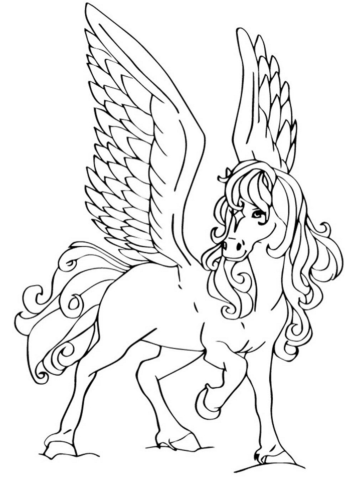 Beautiful Pegasus