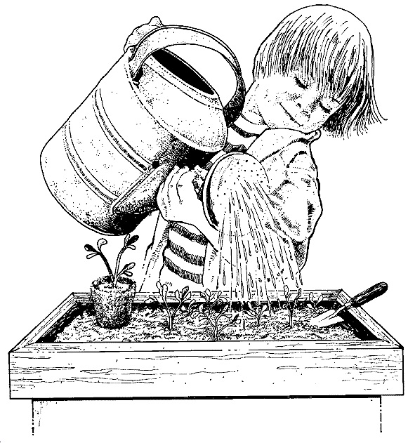 Boy Watering for Plants