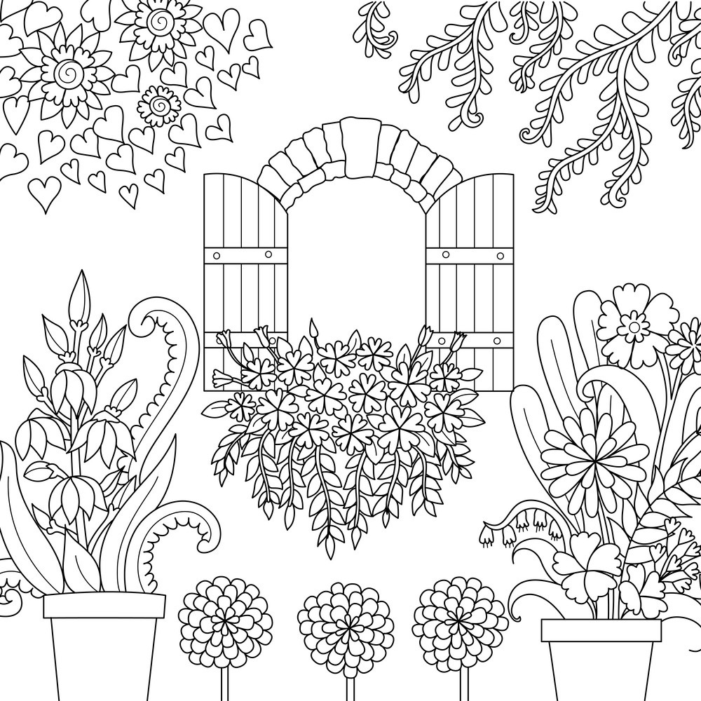 Window and Garden