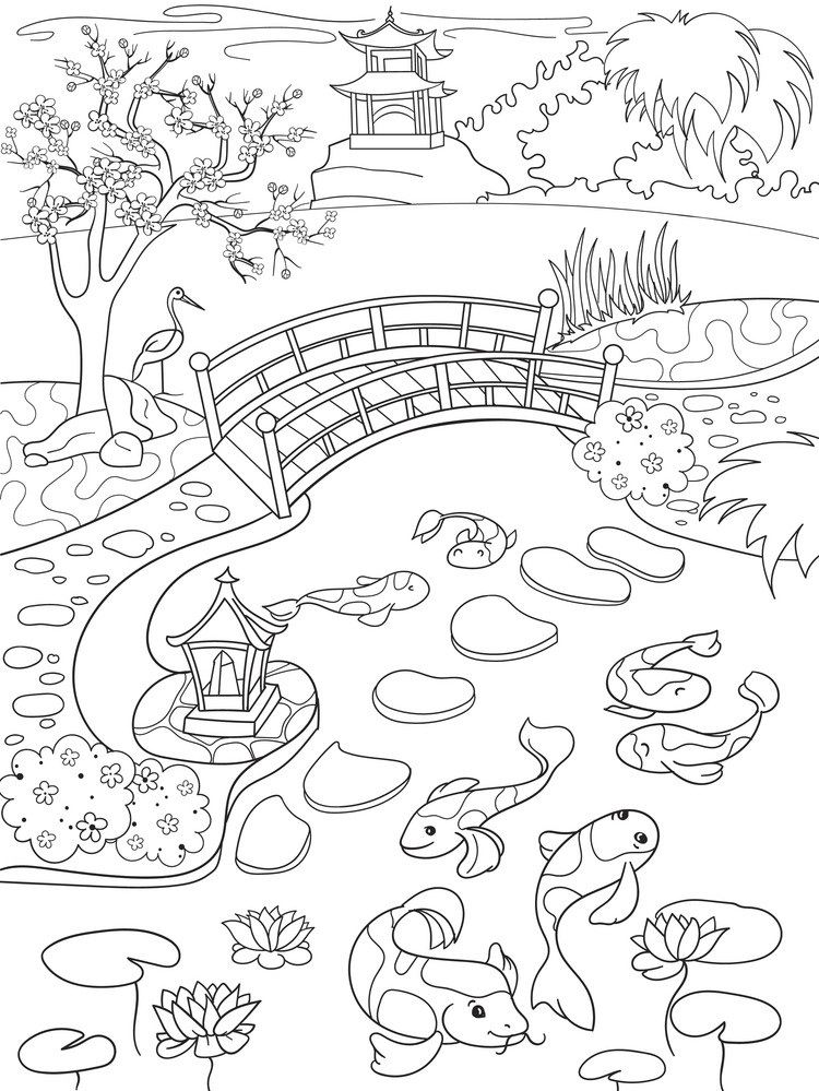 Koi Fish Pond Landscape