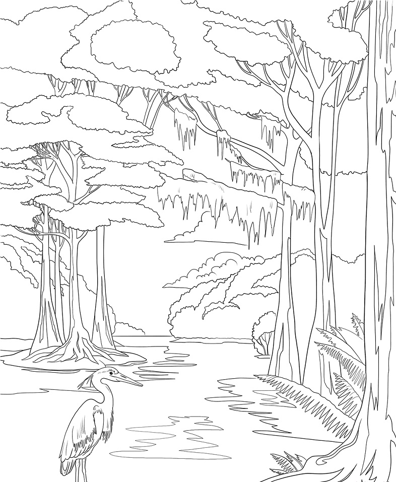 Everglades National Park