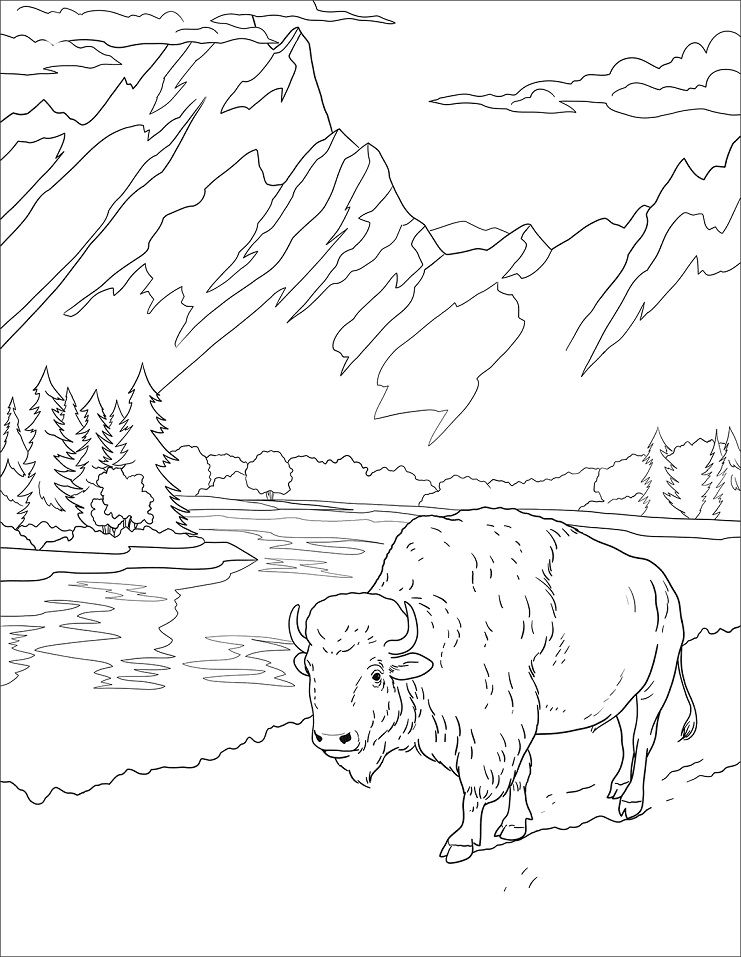 Grand Teton National Park