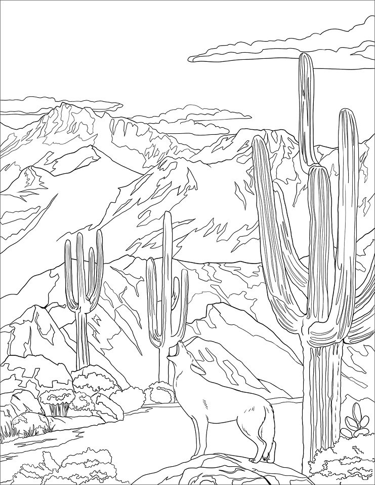 Saguaro National Park