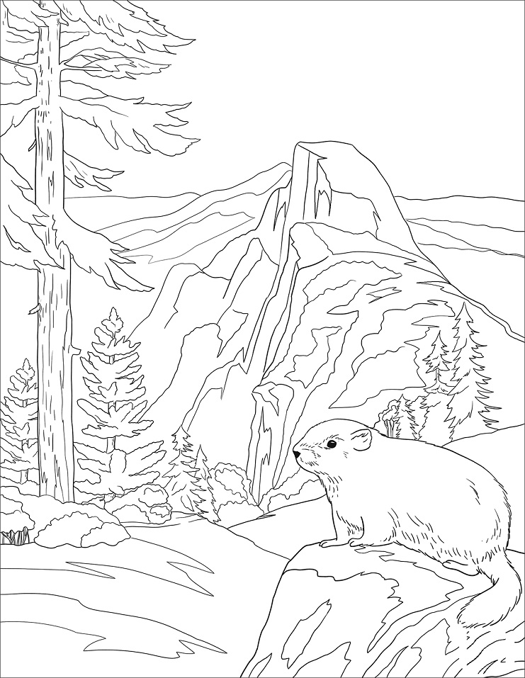 Yosemite National Park